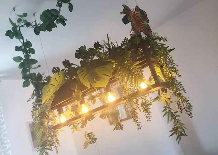 2 Bed-roof Terrace-town Centre-pets * 蒙莫里永